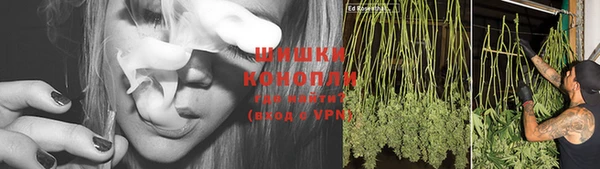 ГАЛЛЮЦИНОГЕННЫЕ ГРИБЫ Наволоки