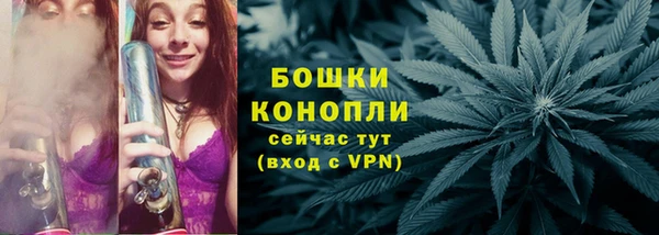 ГАЛЛЮЦИНОГЕННЫЕ ГРИБЫ Наволоки