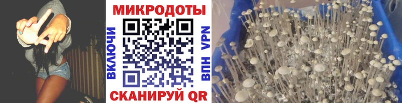 Галлюциногенные грибы мухоморы  ссылка на мегу как войти  Порхов 